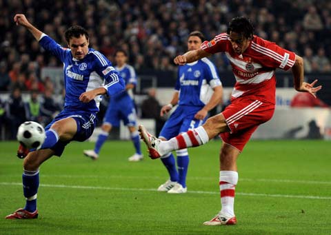 他们的表现 他们的表现